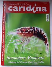Caridina 2022 garnele gebraucht kaufen  Mönchengladbach