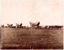 Usado, Argentina.Argentine. "Tropa de Carretas".Photo Albuminée Samuel Boote Bs,As 1880 comprar usado Usado, Argentina.Argentine. "Tropa de Carretas".Photo Albuminée Samuel Boote Bs,As 1880 comprar usado  Enviando para Brazil