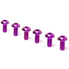 Parafusos de rotor dianteiro Rippin Moto titânio (pacote com 6) para Sur-Ron e E-Ride PRO roxo comprar usado  Enviando para Brazil