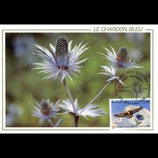 Parc écrins briançon d'occasion Parc écrins briançon d'occasion  Crécy-la-Chapelle