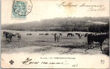 Pompadour paturage chevaux d'occasion  France