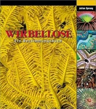 Wirbellose bestimmungsbuch buc gebraucht kaufen  Stuttgart