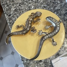 lizard for sale lizard for sale VENTNOR