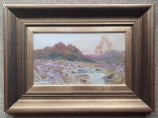 widgery for sale  NEWTON ABBOT