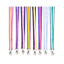 Lanyard regenbogen pride gebraucht kaufen  Dassow