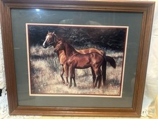 Thoroughbred horses pasture for sale  Mammoth Spring