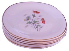 Assiettes plates faïence d'occasion Assiettes plates faïence d'occasion  Arcis-sur-Aube