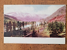 Postcard view deer for sale  North Tonawanda