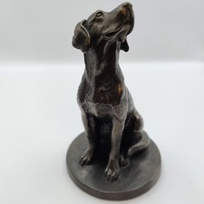 Labrador dog cold for sale  UK