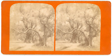 Stereo paysage campagne d'occasion  Pagny-sur-Moselle