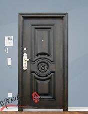 Portone blindato modello usato  Nettuno