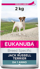 jack russell russell pelo ruvido usato jack russell russell pelo ruvido usato Roma