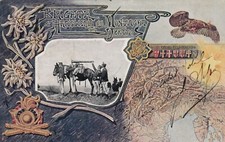 S1197 cartolina militare usato  Forli