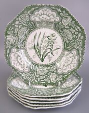Late spode copeland for sale  RUISLIP