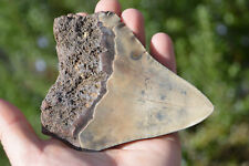 Big genuine natural for sale  UK