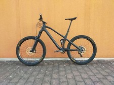 Canyon spectral ex gebraucht kaufen  Riedstadt