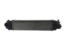 Intercooler per bmw usato  Italia