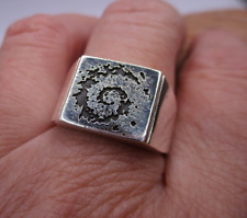 Massiver ring siegelring gebraucht kaufen  Höchstädt a.d.Donau