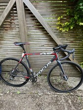 focus mares for sale  LONDON