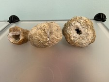 Geode specimens. unique for sale  Jacksonville