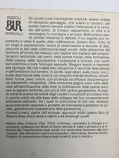 Masi alberto gli usato  Genova