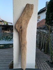 Treibholz ast toller gebraucht kaufen  Rheinmünster