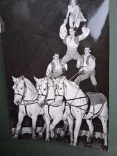 1958 ddr presse gebraucht kaufen  Deutschland
