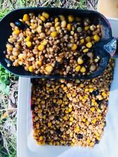 Sacco 10kg misto usato  Italia