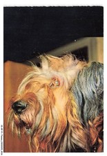 Bfp1 1009 dog d'occasion  Expédié en Belgium