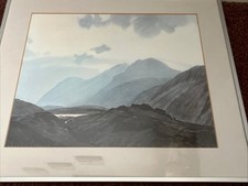 Beautifulwatercolour print daw for sale  READING