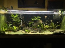 4ft fish tank for sale  ASHINGTON