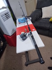 Spinning fishing rod for sale  Salisbury