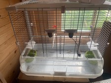 Bird cage vision for sale  BRENTWOOD