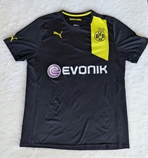 Bvb trikot borussia gebraucht kaufen  Seelze