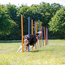 Slalom agility chien d'occasion  Marciac