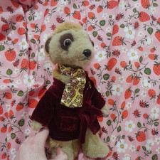 Aleksandr compare meerkat for sale  BRIDGEND