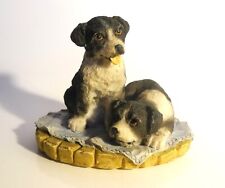 Border collie pups for sale  UK