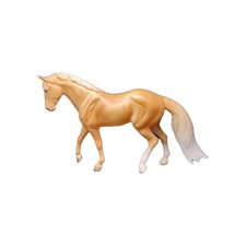 Palomino morgan horse for sale  Salem