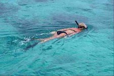 592072 snorkelers bonaire for sale  UK