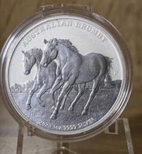 quarter horse grullo d'occasion quarter horse grullo d'occasion France