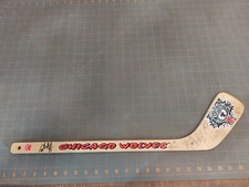Chicago wolves mini for sale  Gainesville