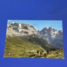 Dolomiti brenta viste usato  Bari