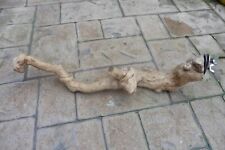 Java perch extra for sale  NOTTINGHAM
