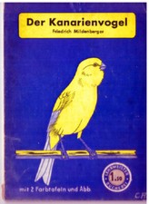 Kanarienvogel lehrmeister büc gebraucht kaufen  Mönchengladbach