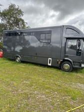 2003 tonne horse for sale  CHESTERFIELD