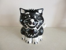 cat black white for sale  STOKE-ON-TRENT
