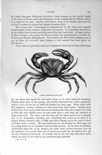 Original old antique for sale Original old antique for sale  UK