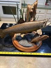 Brown trout scene for sale  Knoxville