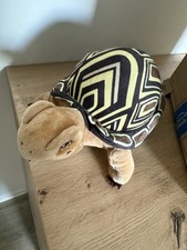 Schule magischen tiere gebraucht kaufen  Berlin