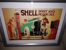 Framed 11x15 shell for sale  SHEFFIELD